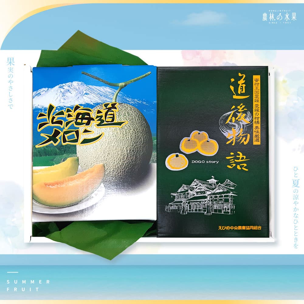 日本北海道哈密瓜 1 顆 日本空運進口 愛媛縣 道後物語小蜜柑 (約 15~16入) 精緻禮盒｜企業採購・百大送禮推薦 - 農林水果