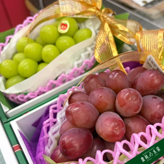 日本麝香葡萄 1 房 妃紅提葡萄 1 房 中型精緻禮盒|高級水果禮盒・專業包裝・企業採購・送禮推薦 - 農林水果