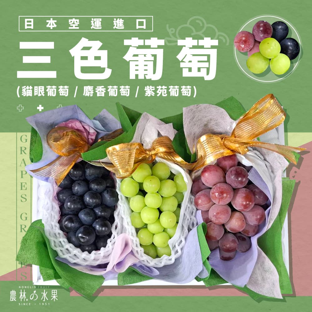 日本空運進口三色葡萄禮盒 - 日本麝香葡萄 1房 + 日本貓眼葡萄 1房 + 日本紫苑紅葡萄 1房 精緻禮盒 - 水果送禮的首選 高雅的日本精品 農林水果推薦日本水果禮盒