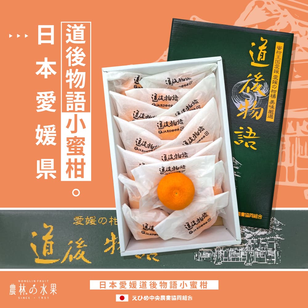 日本空運進口 愛媛縣 道後物語小蜜柑 （約 15~16入）原裝禮盒 - 顆顆獨立包裝！！！農林水果 夏季新品 高級水果禮盒 進口水果禮盒 當季水果禮盒 健康養生 水果禮盒宅配推薦