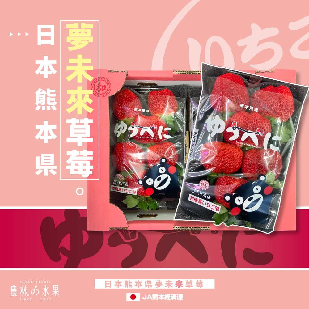 日本熊本縣夢未來草莓 原裝 2匣 禮盒