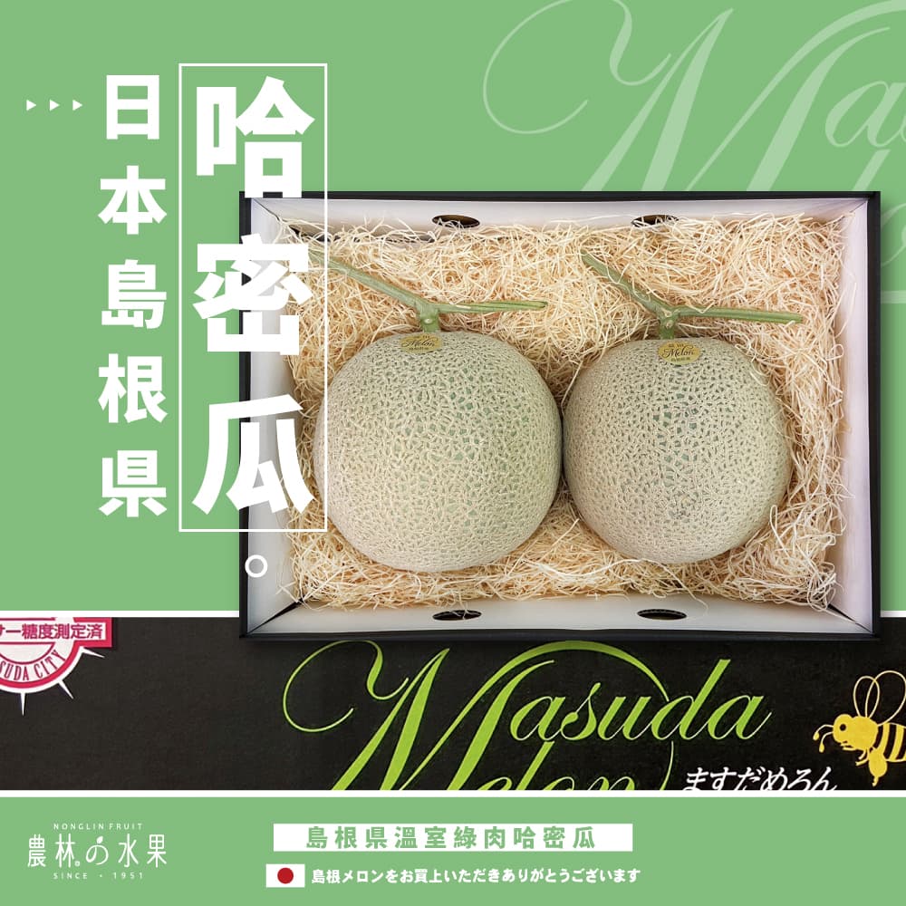 日本島根縣 溫室綠肉網紋哈密瓜 單入 / 2入 精裝禮盒