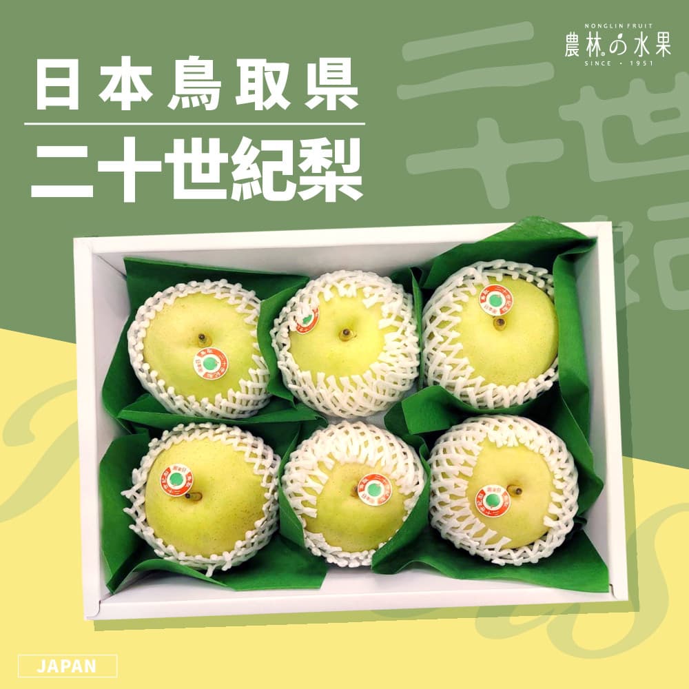 日本空運進口 鳥取縣二十世紀梨 6入 精緻禮盒 - 纖維非常細緻卻不失脆度的日本梨之王！！！農林水果 中秋節送禮 中秋水果禮盒 中秋節伴手禮 送禮首選 日本水果禮盒