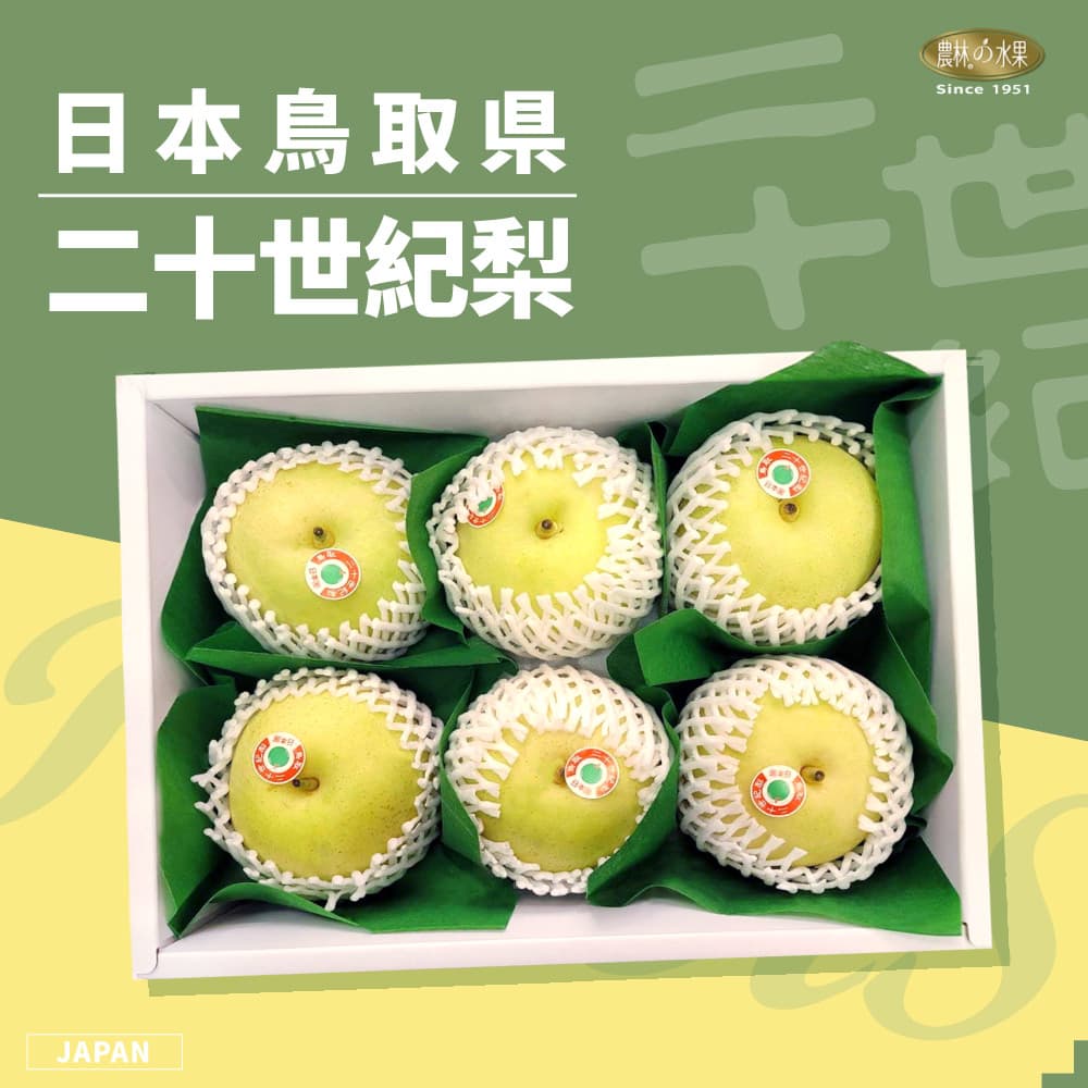 日本鳥取縣二十世紀梨 5入