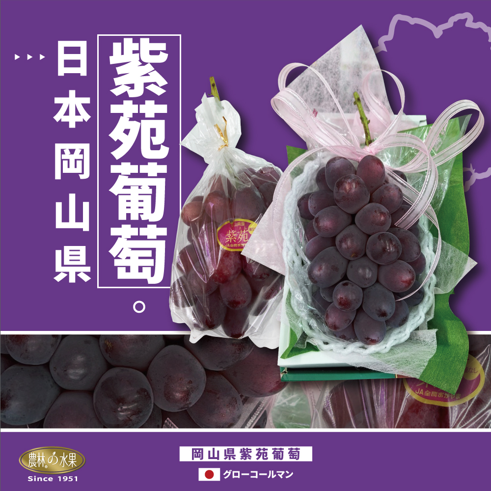 日本岡山縣 紫苑葡萄 (單房) 精緻禮盒 - 送禮必選最佳推薦！農林水果 日本進口水果禮盒 頂級伴手禮