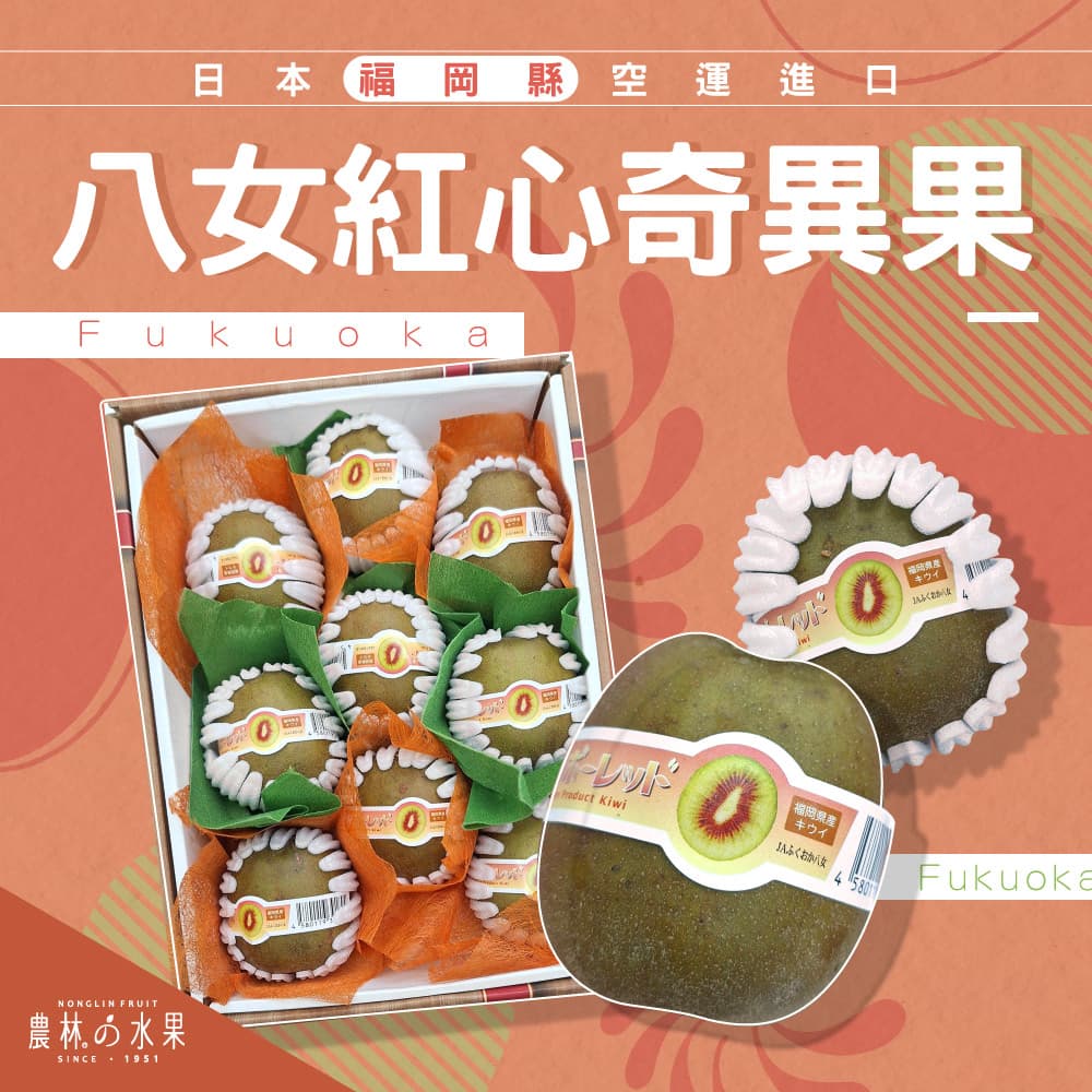 日本福岡縣空運進口 八女紅心奇異果 9入~10入 禮盒 (顆粒數不指定) - 細膩多汁、甜而不膩的口感！！！水果送禮的首選 高貴雅緻的日本禮品 農林推薦 日本水果禮盒