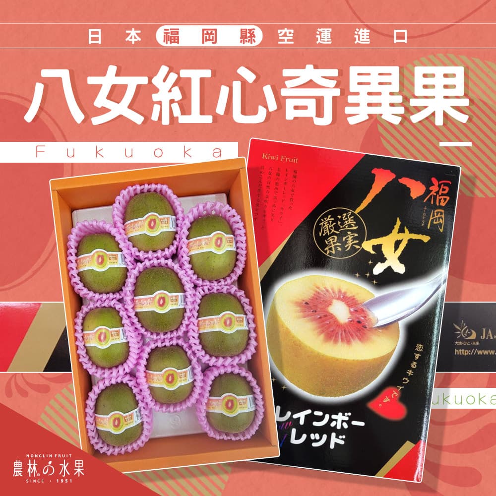 日本福岡縣空運進口 八女紅心奇異果 9入~11入 禮盒 (顆粒數不指定) - 細膩多汁、甜而不膩的口感！！！水果送禮的首選 高貴雅緻的日本禮品 農林推薦 日本水果禮盒