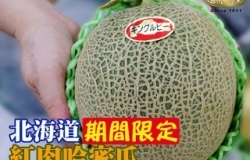 北海道哈密瓜開吃啦! 盛夏最甜蜜的滋味你不容錯過