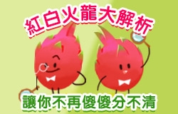 紅白火龍大解析! 讓你不再傻傻分不清