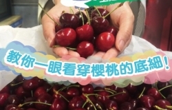 小撇步大公開~ 讓你一眼看穿櫻桃的底細!